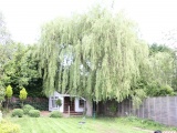 Tn IMG 5716